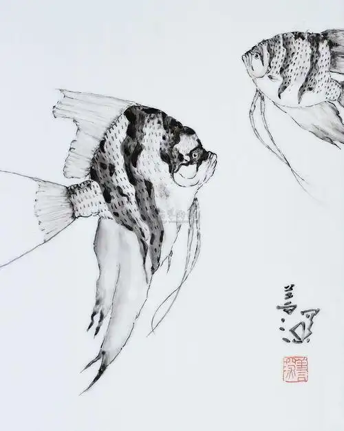 0441 热带鱼 镜框 瓷板