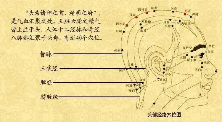 如果是双鬓有白发的,那要重点调理两边的三焦经和胆经;头顶发白,是