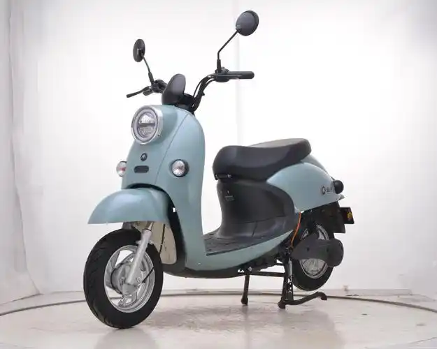 am500dqt24c爱玛牌纯电动前鼓式后鼓式电动两轮轻便摩托车