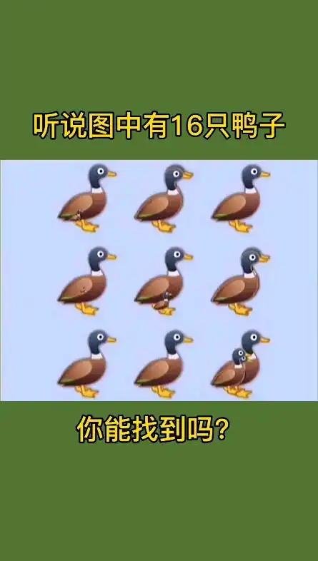 你能找到第16只鸭子么