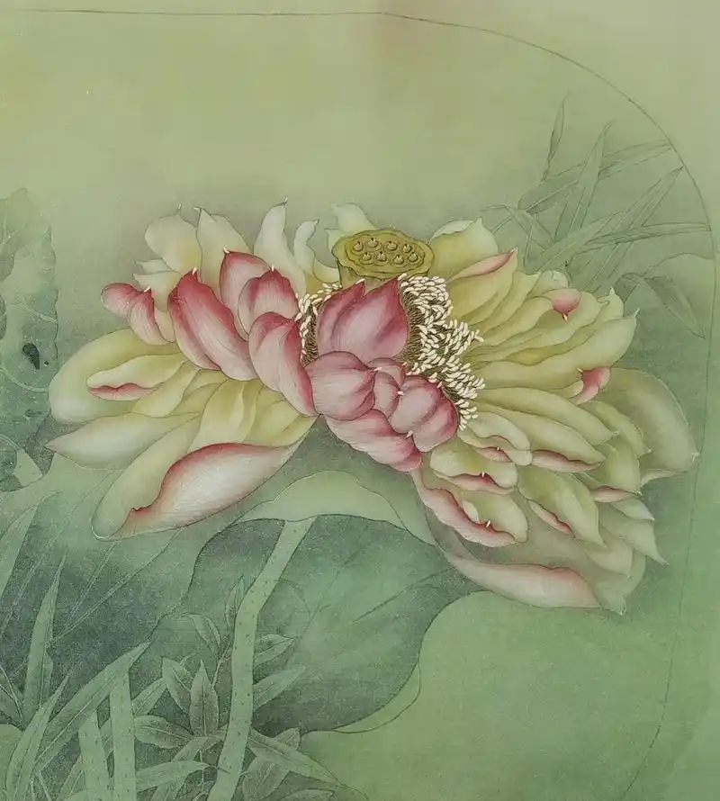 工笔画,国画,工笔画 荷花!继续更新中! - 抖音