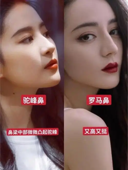 皮皮科普时间16种常见鼻型大盘点你属于哪一种71