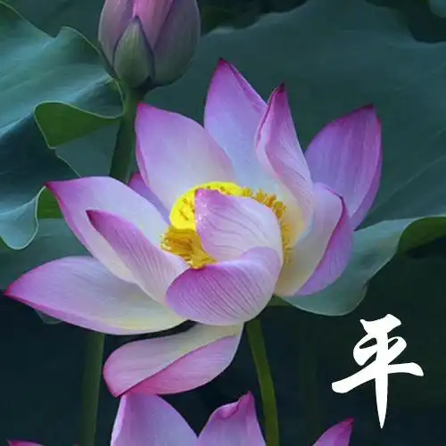 适合60岁老人微信头像60岁老人微信头像大全