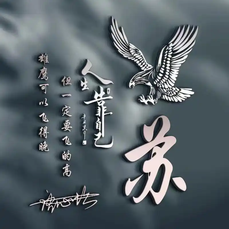 适合做微信,qq头像,超美的姓氏头像,人生靠自己!