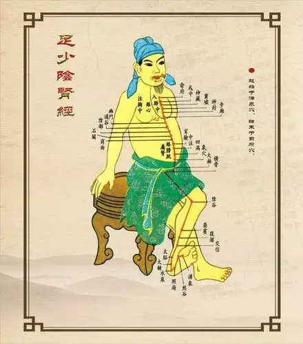 十二经络的走向动画图及不同病症的对治方法