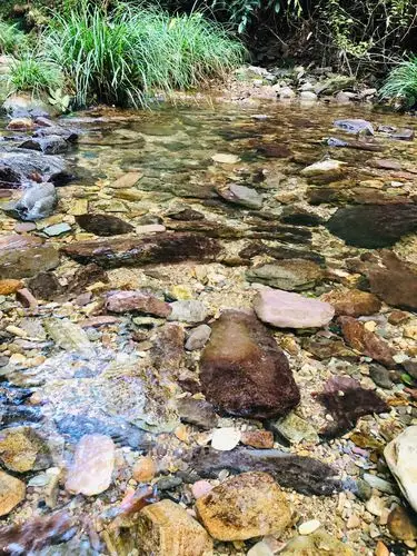 小溪潺潺是最美的旋律