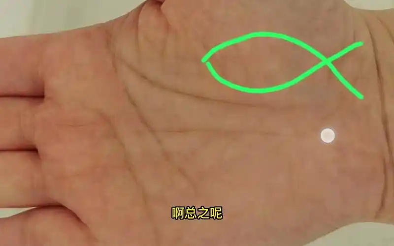 手相解析:极为少见的鱼形纹,你有吗?