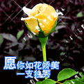 玫瑰qq表情图片 玫瑰花qq表情包大全