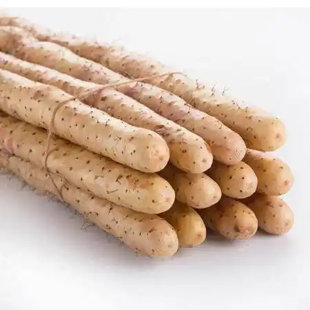 【超低价】粉糯正宗铁棍山药淮山药小白嘴山药铁杆山药新鲜蔬菜