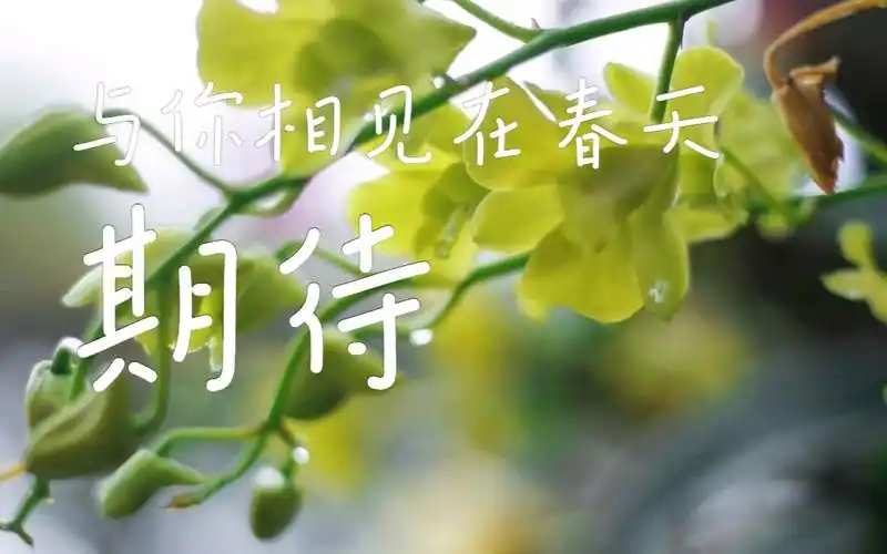 遇见春天第1集 | 期待在开满鲜花的春天里与你相见,在刚长出嫩芽的