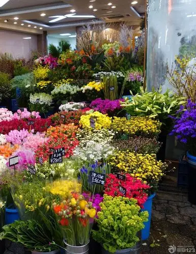 工装效果图 花店 大型鲜花店装修效果图片 提供者:  ← → 可以翻页