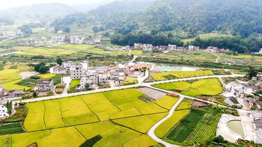 龙川县黄布镇欧江村(摄影:陈杰)