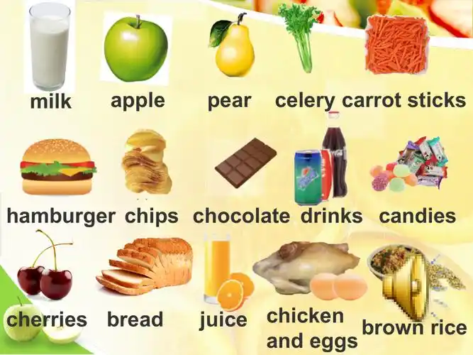 dj.mp3mp3.mp3unhealthy food.flvunit2 food and health.