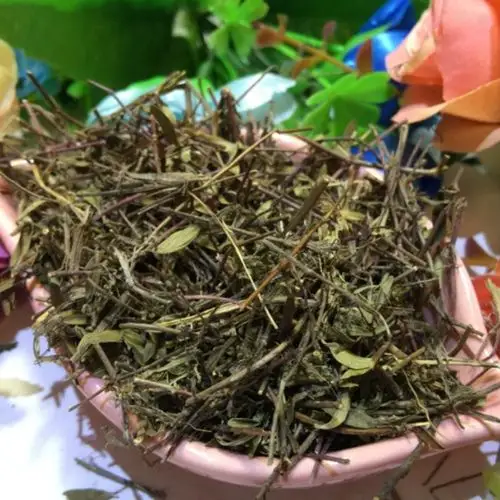 百里香 麝香草中药材调料500g新鲜 地椒 毛麝香 毛射香中草药店铺