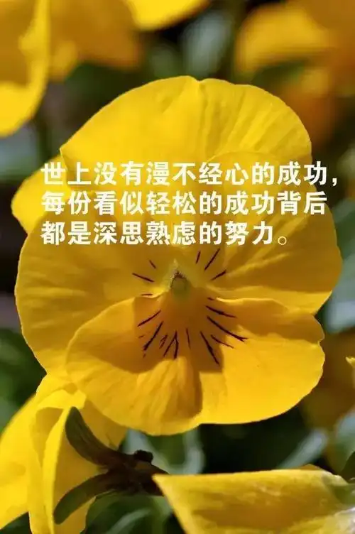一千字的精选美文励志青春励志美文摘抄400字