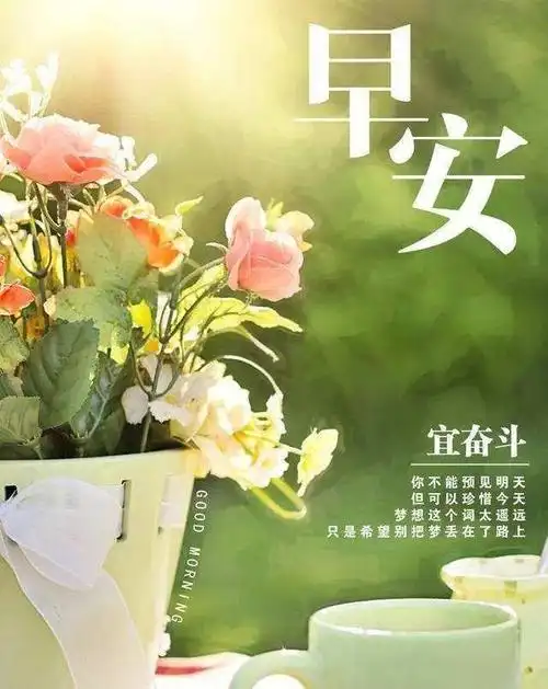 特别漂亮的早上好祝福语句子冬季早安吉祥问候祝福图片清新