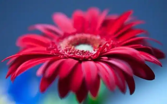 沈浩&秦菲雪瑜伽老师《一生何求》小说 >全文完整版txt阅读