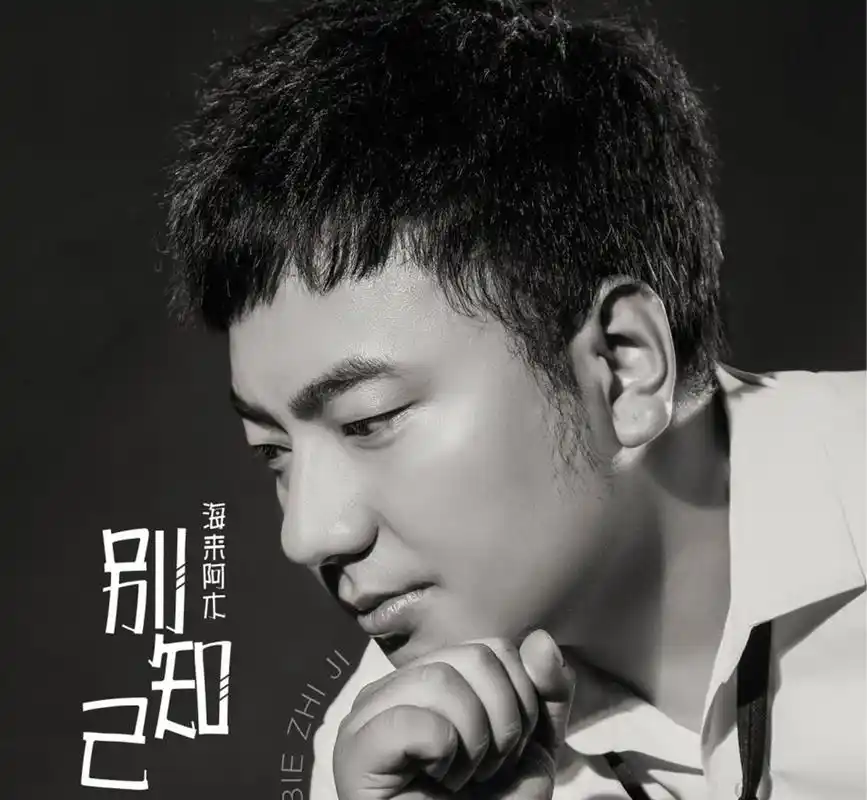 海来阿木《不过人间》这首歌表达什么?海来阿木唱过什么歌曲?