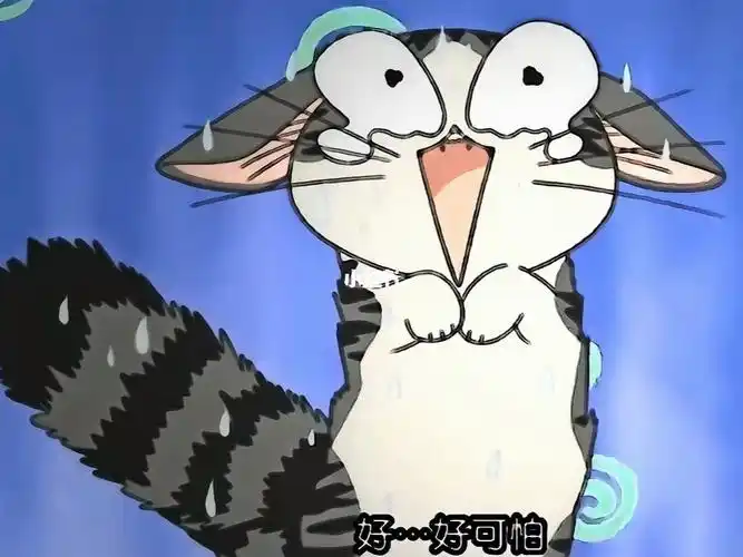 甜甜私房猫  #小起  #甜甜起司猫  #猫