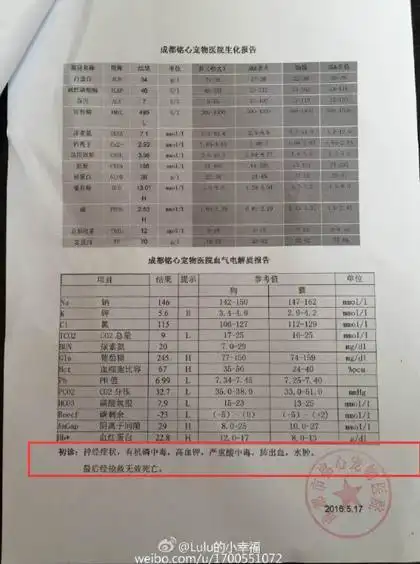 小区4天5条狗离奇死亡狗主人怀疑有人投毒图