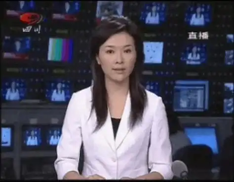 2008年,那个播报汶川地震时流泪的女主播宁远,如今怎么样了?