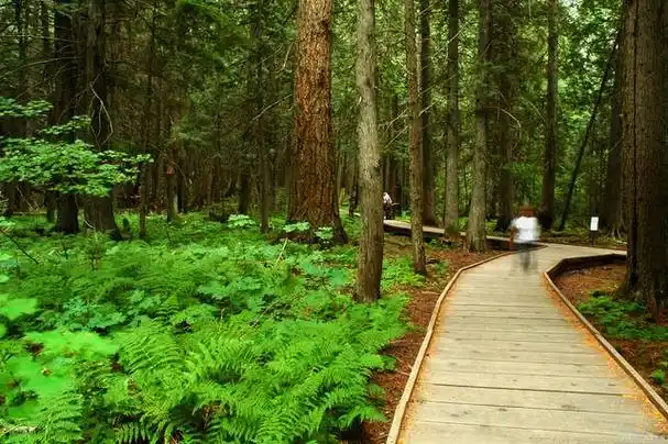 其为附近180万居民提供了一个休闲的环境,该公园在咸阳市西边,沣河的