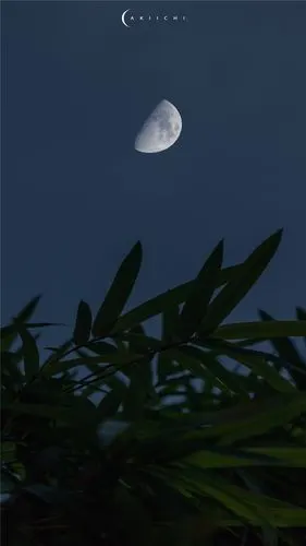 月色风景高清手机壁纸