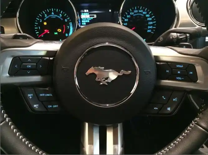 "福特野马"嘉兴首次亮相 狂野来袭