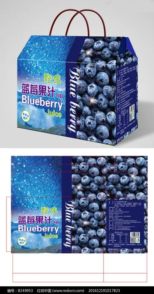 时尚靓丽蓝色蓝莓果汁包装礼盒设计