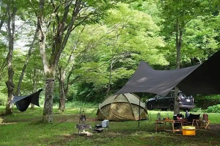露营森林营地秘境森林深度洗肺之旅