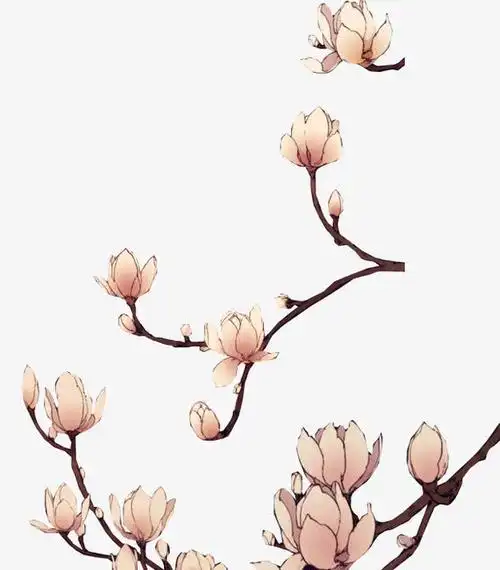 粉色手绘玉兰花免抠素材免费下载_觅元素51yuansu.com