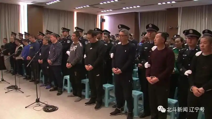 辽宁宋氏兄弟涉黑案件一审公开宣判