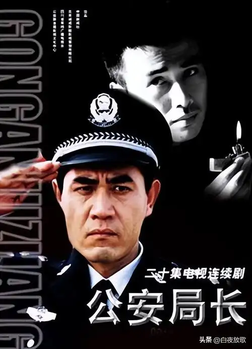 10部经典反黑电视剧 十部题材生猛演技爆棚反腐剧 第3张