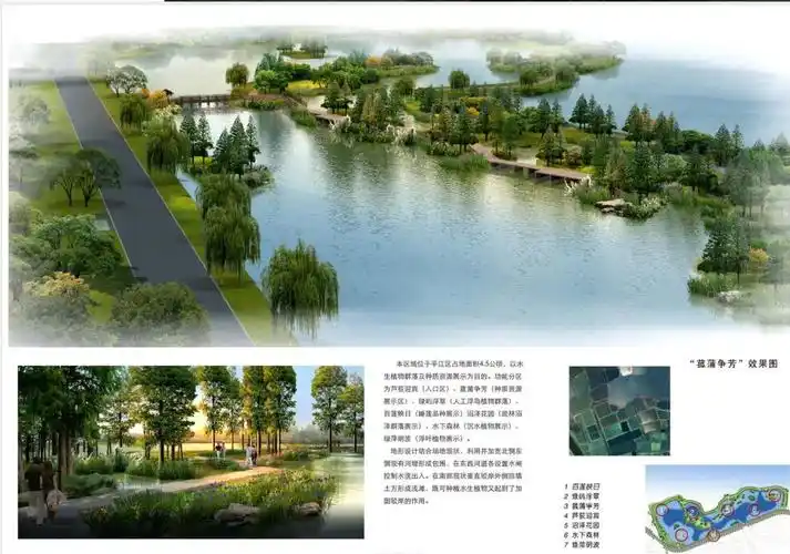 [江苏]国家湿地公园景观方案设计pdf(80页)