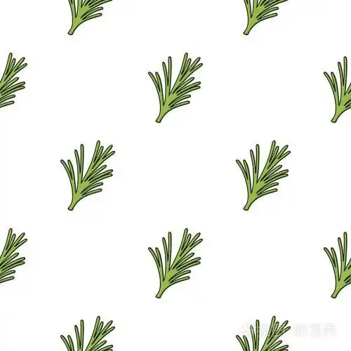 迷迭香在白色背景上孤立的卡通风格的图标草本香料象征股票矢量图