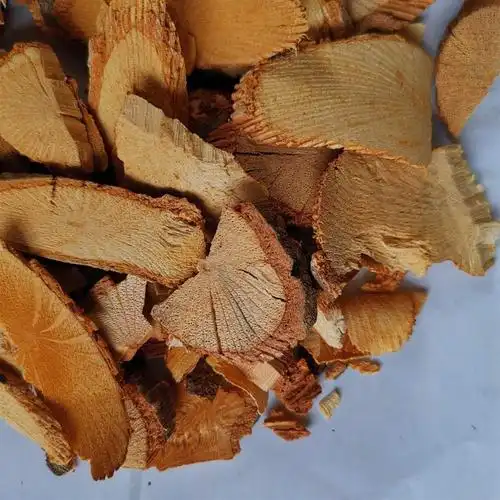 黄藤土黄连大黄藤黄连藤