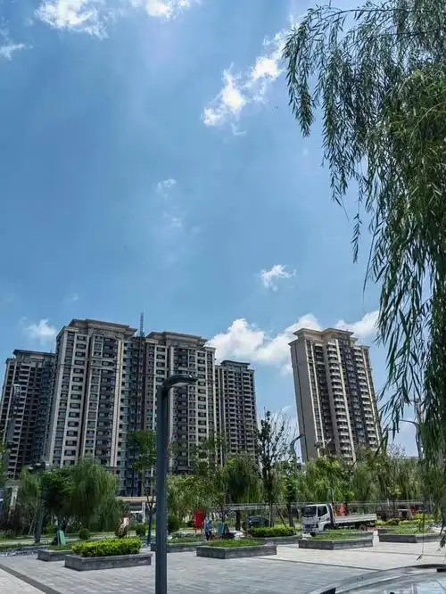 山东省成武县美景