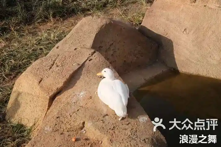 绍兴兰亭居然有个新开的森林动物王国-大众点评