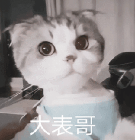 我是个黑社会,你不喜欢我我就找人砍你 - 斗图表情包 - 斗图神器