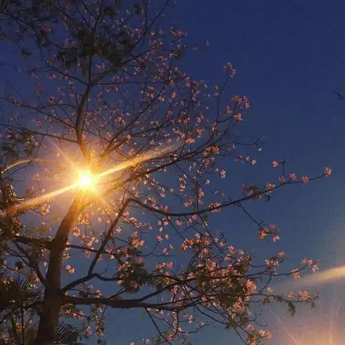 原创配图微信朋友圈背景图