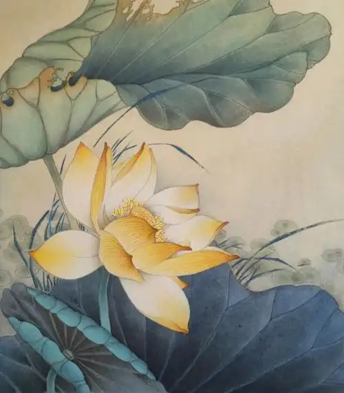 学习打卡  #绘画  #荷花  #工笔