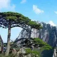 会走运的大山微信头像_微信头像图片大全