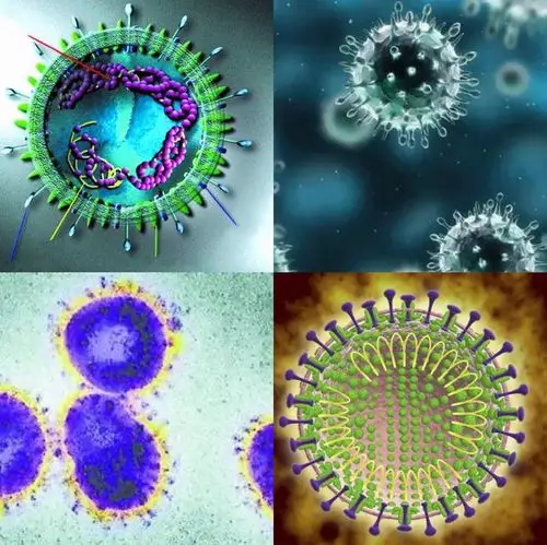 新型冠状病毒小科普