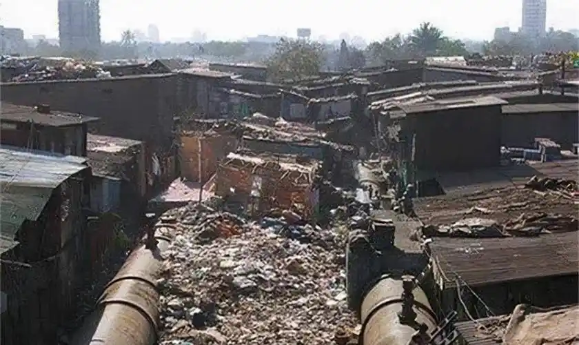 工作_达拉维_垃圾