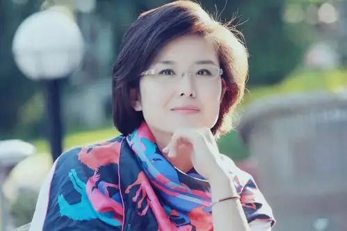 最后一位要提到的则是央视新闻频道的主持人——王宁.