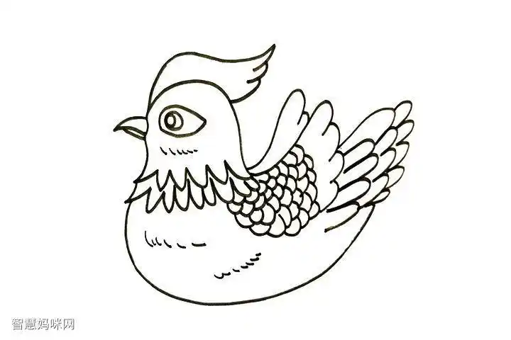 沙子上的鸳鸯的画法简笔画(怎样画陆地上的鸳鸯简笔画) -【爱个性】