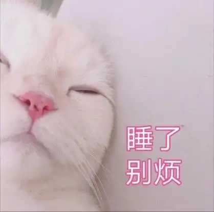 猫为什么非要趴在人身上那是因为