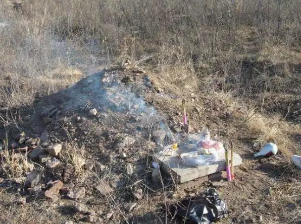 上坟贡品有什么讲究优质