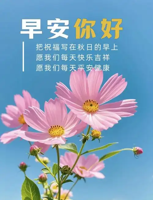 早安日历每日一签图片,早安心语!