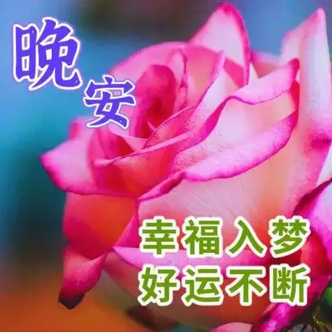 晚上好图片精选祝福语晚上好祝福语晚上好幸福暖心的问候图片